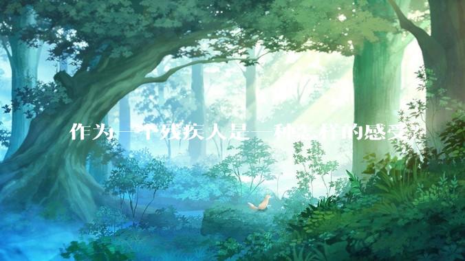 作为一个残疾人是一种怎样的感受？