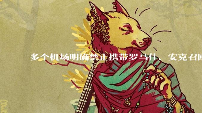 多个机场明确禁止携带罗马仕、安克召回型号及批次的充电宝，那这两品牌不在召回名单中的充电宝还能放心用吗？