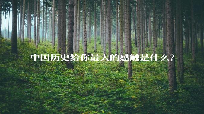 中国历史给你最大的感触是什么？