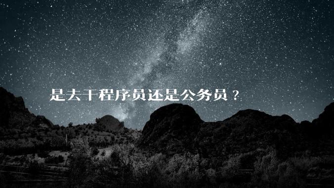 是去干程序员还是公务员?