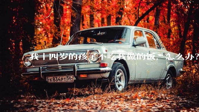 我十四岁的孩子不吃我做的饭，怎么办？