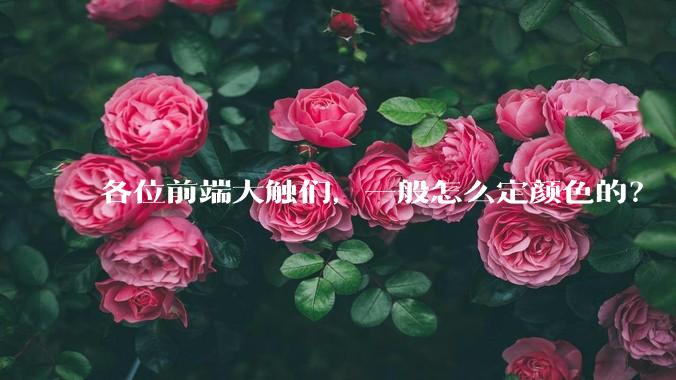 各位前端大触们，一般怎么定颜色的？