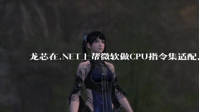 龙芯在.NET上帮微软做CPU指令集适配，为什么到国内.NET开发者这里成了维护龙芯.NET版本?