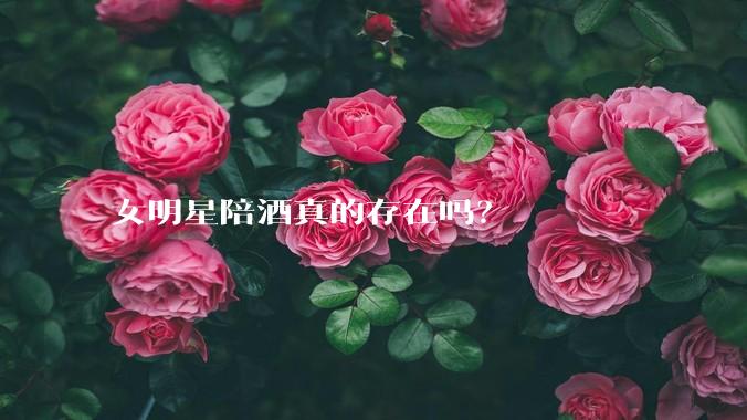 女明星陪酒真的存在吗？