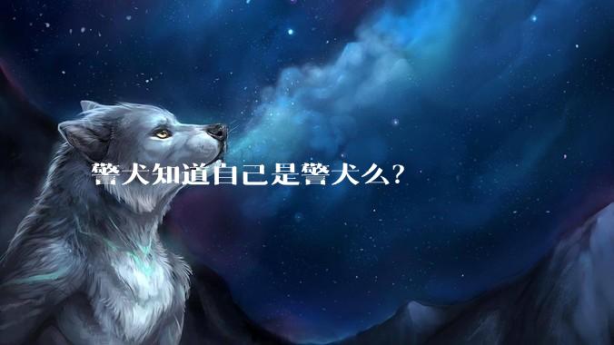 警犬知道自己是警犬么？