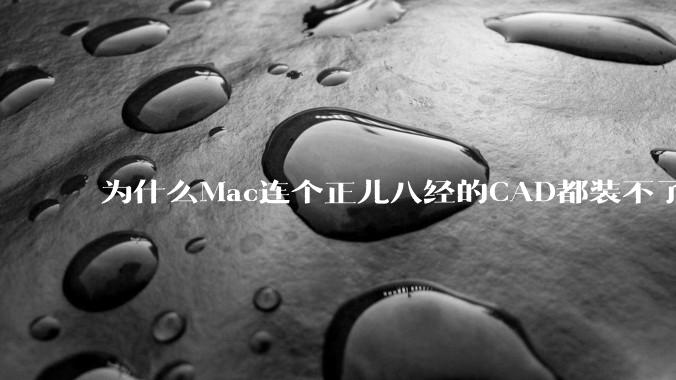 为什么Mac连个正儿八经的CAD都装不了还敢打着生产力的旗号？